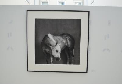 image02