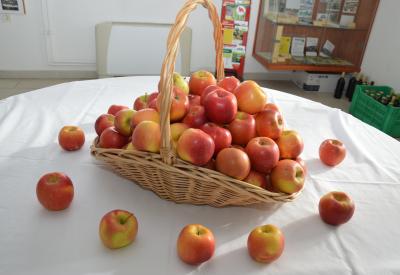 image02