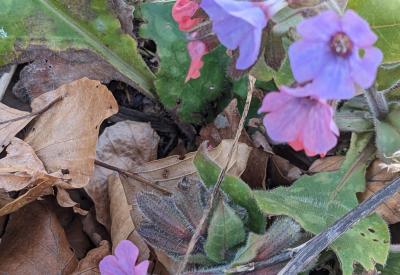image02