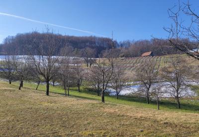 image02