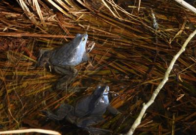 image02