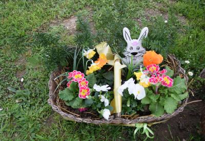 image02