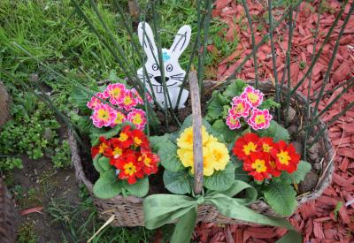 image02