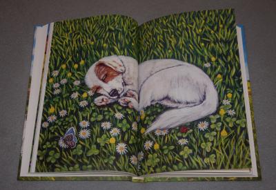 image02