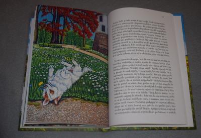 image02
