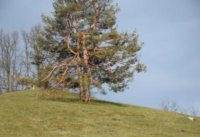 image02