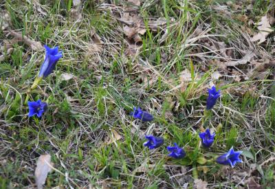 image02