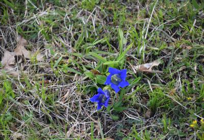 image02