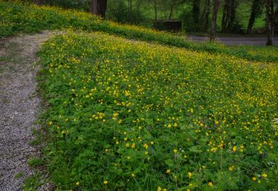 image02