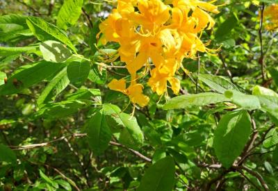 image02