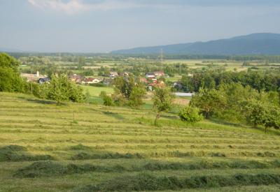 image02