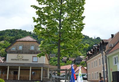 image02