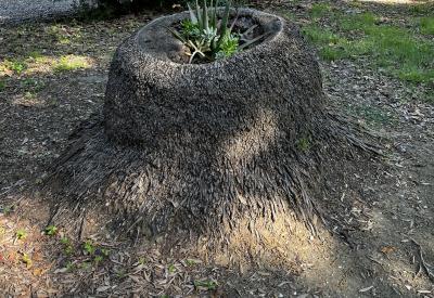 image02