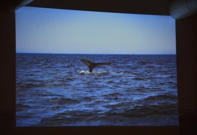 image02