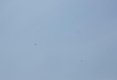 image02