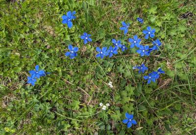 image02