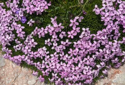 image02