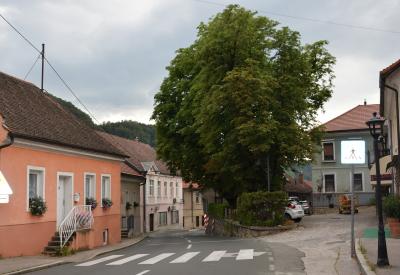 image02