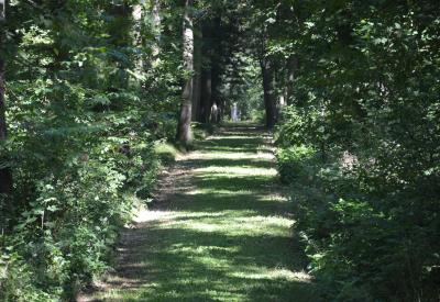 image02