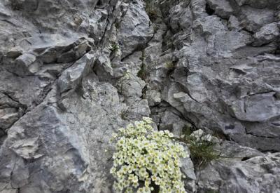 image02