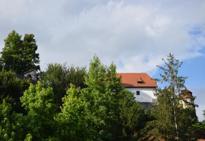 image02