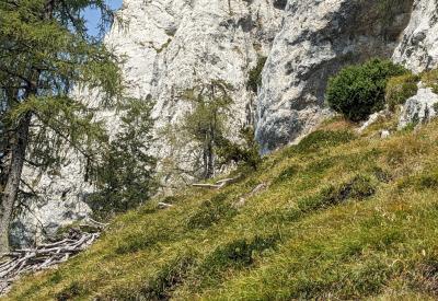 image02