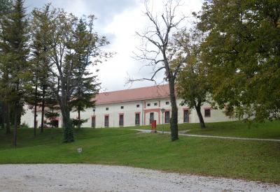 image02