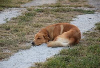 image02