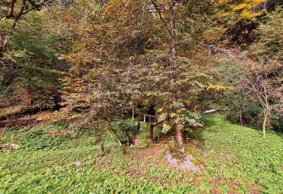 image02