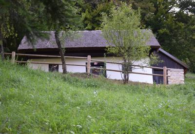 image02