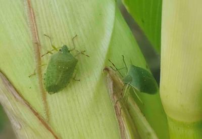 image02