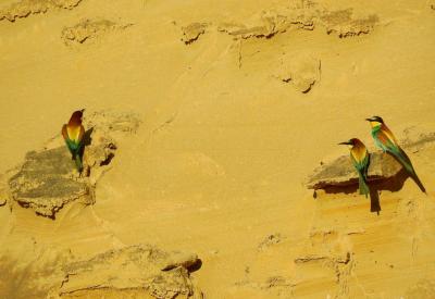 image02