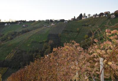 image02