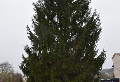 image02