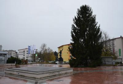 image02