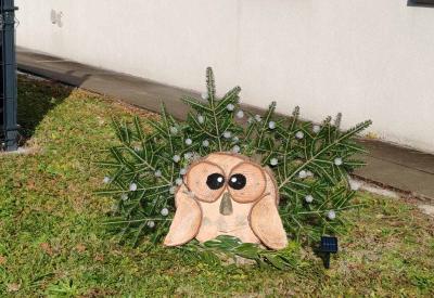 image02