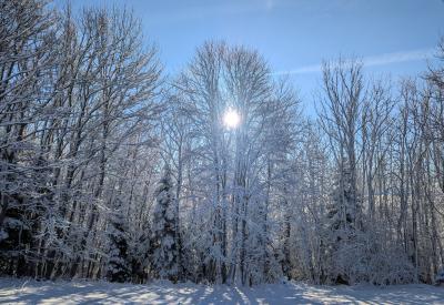 image02
