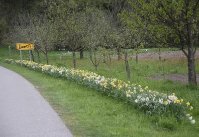 image02