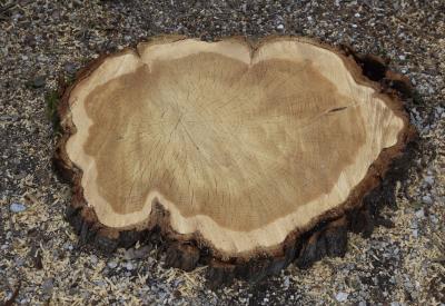 image02