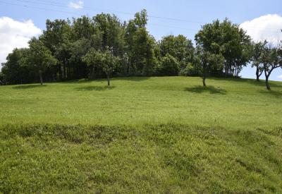 image02