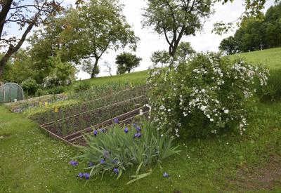 image02