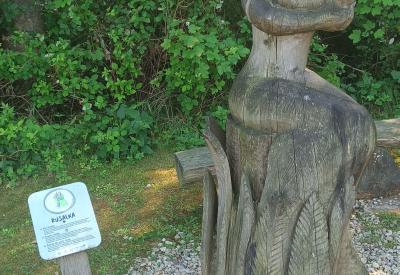 image02