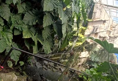 image02