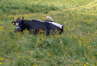image02