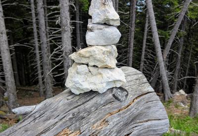 image02