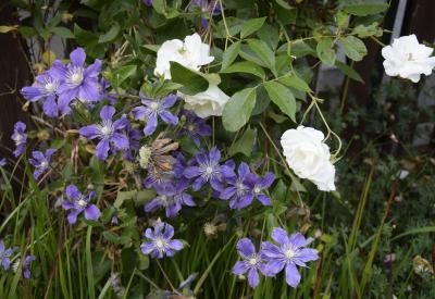 image02