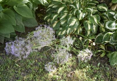 image02