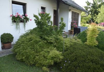 image02