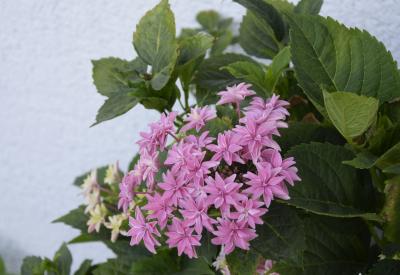 image02