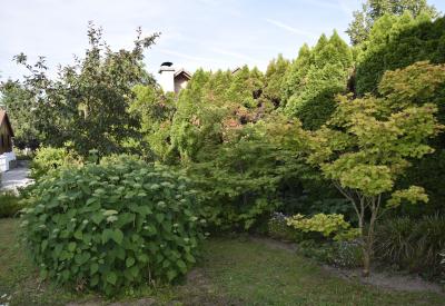 image02